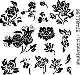 flower illustration