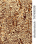 animal abstract print pattern