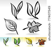  leaf icons calligraphic...