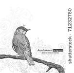 hand drawn bird on branch.
