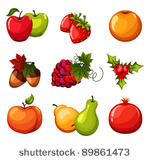 vector fruits illustration