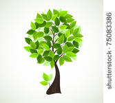 season  tree with green leaves
