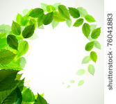 branch with fresh green leaves