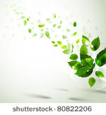summer branch with fresh green...