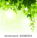 summer branch with fresh green...
