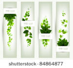 set of four banners