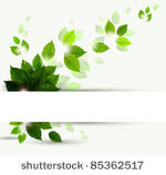 branch with fresh green leaves