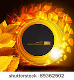 autumn  shine background with...