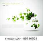 branch with fresh green leaves