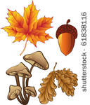 set of autumn plants
