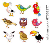 cartoon birds icon