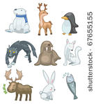 cartoon animal icon