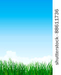 green grass. vector...