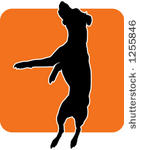jumping dog