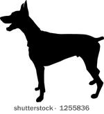 german shepherd dog