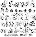 floral vector elements in...