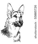 hand drawn dog vector. visit my ...