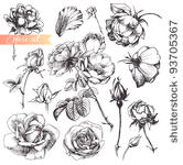 flower set  highly detailed...
