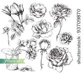 flower set  highly detailed...