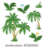 palm trees  flowers and green...