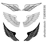 set of wings isolated on white