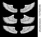 white angel wings set isolated...