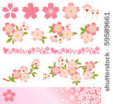 cherry blossom