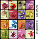 set of 16 cards with colored...