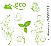 set of floral elements for...