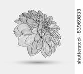 abstract floral background....