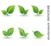 set of green leaves. element...