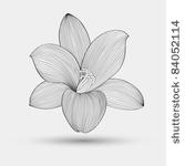 abstract floral background....