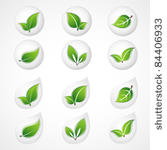 set of green leaves. floral...