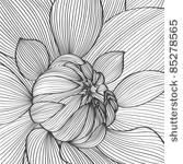 abstract floral background....