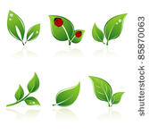 set of green leaves. element...
