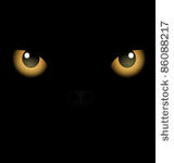 black background yellow eyes