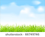 vector green grass and blue sky