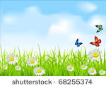 vector green grass and daisies...