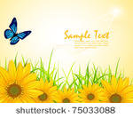 vector background with yellow...