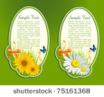 vector set  floral background...