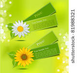 leafy vector label with daisies ...