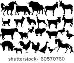 farm animals