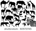 animals