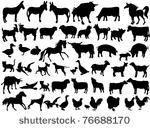 farm animals