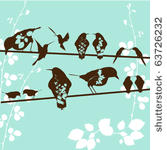 birds sitting on a  wire  ...