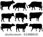 cow silhouette collection  ...