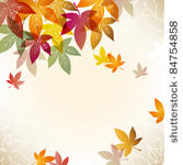 colorful maple background