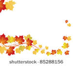 maple background