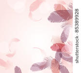 feather background
