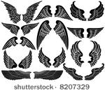 twelve sets of angel wings